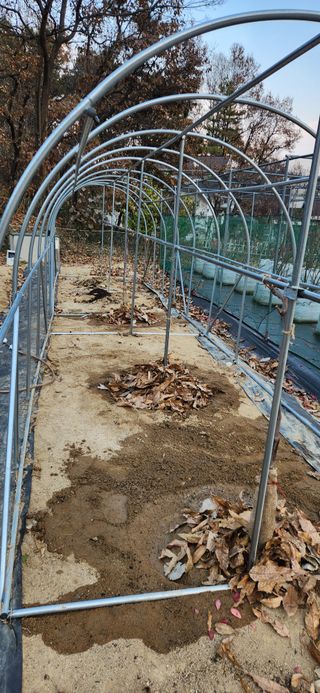 귤8352님의 기타작물 · 영농일지 작성글 사진