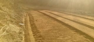 박사원농장님의 기타작물 · 영농일지 작성글 사진