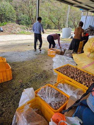 무주설천면 반딧팝님의 기타작물 · 영농일지 작성글 사진
