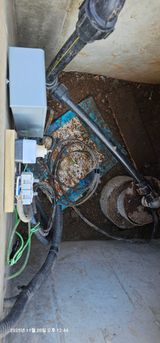 팜모닝 기타작물·영농일지 게시글 이미지