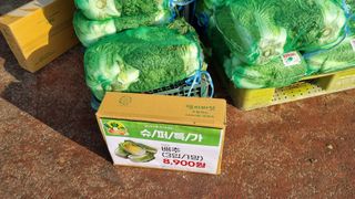 김지철님의 기타작물 · 영농일지 작성글 사진