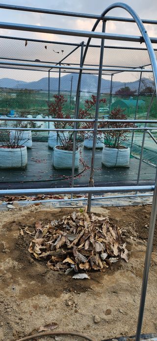 귤8352님의 기타작물 · 영농일지 작성글 사진