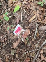 팜모닝 기타작물·영농일지 게시글 이미지