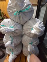 팜모닝 콩·영농일지 게시글 이미지