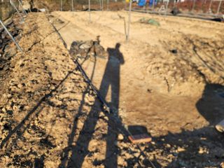 박치문님의 블루베리 · 영농일지 작성글 사진