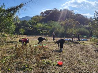 최문열님의 콩 · 영농일지 작성글 사진