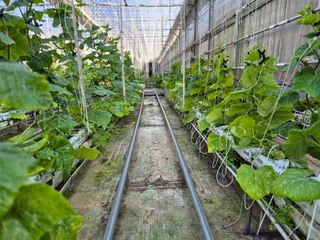 늘햇살팜 님의 기타작물 · 영농일지 작성글 사진