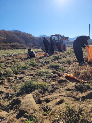 이름유순옥님의 기타작물 · 영농일지 작성글 사진
