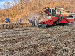 양홍주님의 콩 · 영농일지 작성글 사진