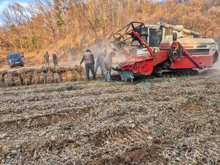 양홍주님의 콩 · 영농일지 작성글 사진