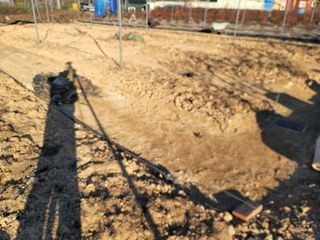 박치문님의 블루베리 · 영농일지 작성글 사진