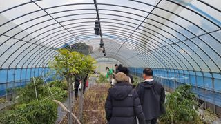 김홍중님의 기타작물 · 영농일지 작성글 사진