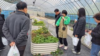 김홍중님의 기타작물 · 영농일지 작성글 사진