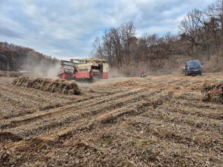 양홍주님의 콩 · 영농일지 작성글 사진