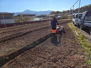 이만근님의 블루베리 · 영농일지 작성글 사진