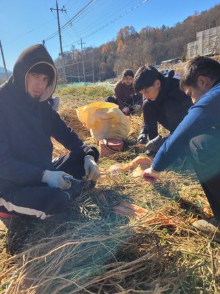 이름유순옥님의 기타작물 · 영농일지 작성글 사진