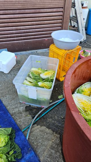 이순정님의 기타작물 · 영농일지 작성글 사진