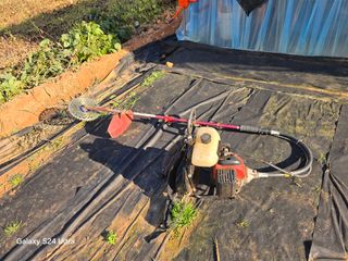 심기정님의 콩 · 영농일지 작성글 사진