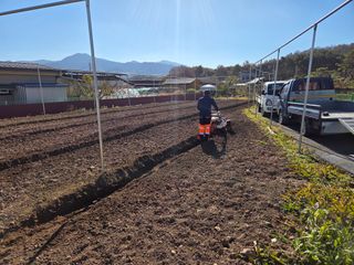 이만근님의 블루베리 · 영농일지 작성글 사진