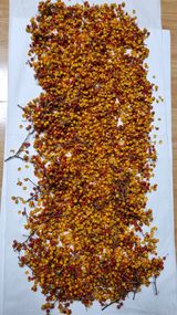 팜모닝 기타작물·영농일지 게시글 이미지