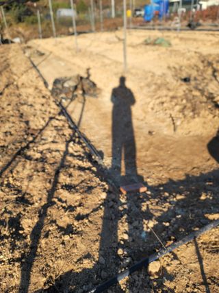 박치문님의 블루베리 · 영농일지 작성글 사진