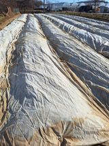 팜모닝 기타작물·영농일지 게시글 이미지