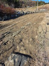 팜모닝 고추·영농일지 게시글 이미지