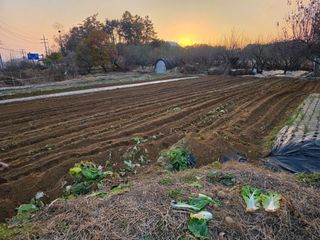 이진기님의 기타작물 · 영농일지 작성글 사진