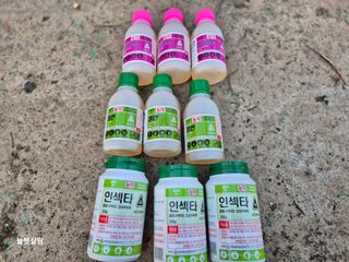 늘햇살팜 님의 기타작물 · 영농일지 작성글 사진