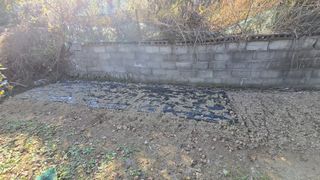 김영한님의 시금치 · 영농일지 작성글 사진