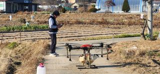 조성현님의 양파 · 영농일지 작성글 사진