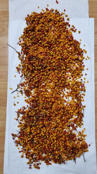 김지철님의 기타작물 · 영농일지 작성글 사진