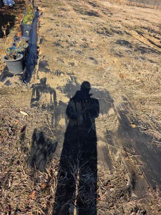 행운아님의 고추 · 영농일지 작성글 사진