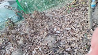 김홍중님의 기타작물 · 영농일지 작성글 사진