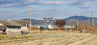 조성현님의 양파 · 영농일지 작성글 사진