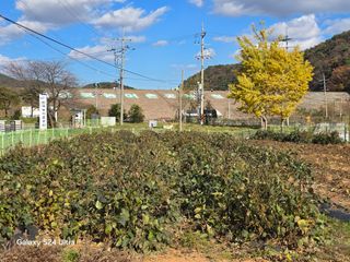 심기정님의 콩 · 영농일지 작성글 사진