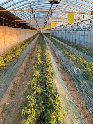 흠이네님의 기타작물 · 영농일지 작성글 사진