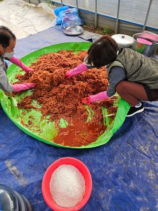 박홍권님의 기타작물 · 영농일지 작성글 사진