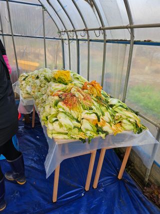 박홍권님의 기타작물 · 영농일지 작성글 사진