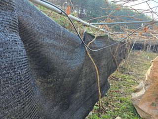 김종협님의 기타작물 · 영농일지 작성글 사진