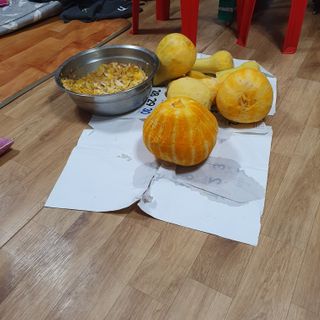 시민농장님의 호박 · 영농일지 작성글 사진