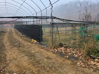 김종협님의 기타작물 · 영농일지 작성글 사진