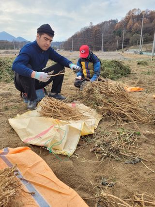 이름유순옥님의 기타작물 · 영농일지 작성글 사진