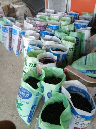 무료지식나눔 팜닥터님의 기타작물 · 영농일지 작성글 사진