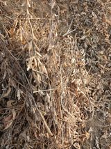 팜모닝 기타작물·영농일지 게시글 이미지