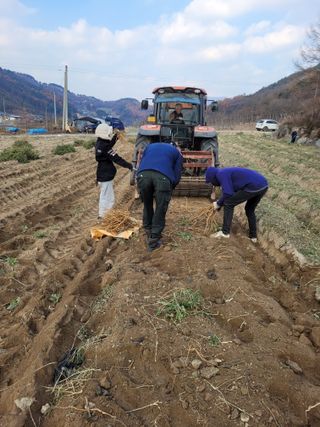 이름유순옥님의 기타작물 · 영농일지 작성글 사진