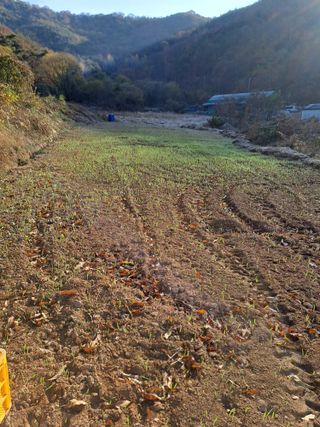 손정식님의 기타작물 · 영농일지 작성글 사진