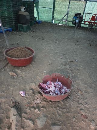 무주설천면 반딧팝님의 기타작물 · 영농일지 작성글 사진