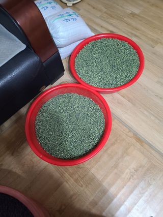 고추님의 콩 · 영농일지 작성글 사진