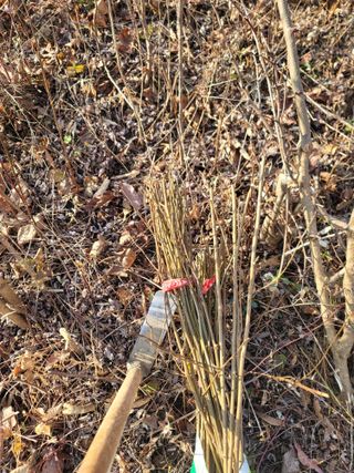 서성환님의 기타작물 · 영농일지 작성글 사진